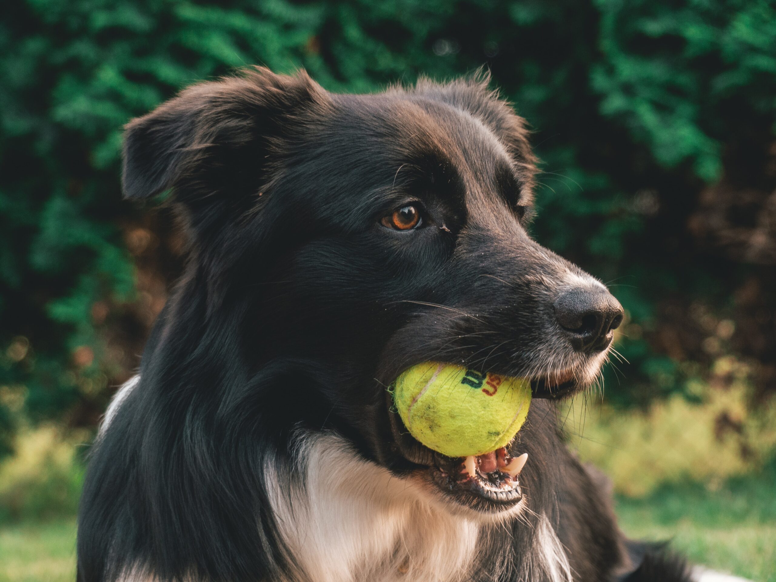 Tennis Mini-Games for Kids: Fun Ways to Learn and Play