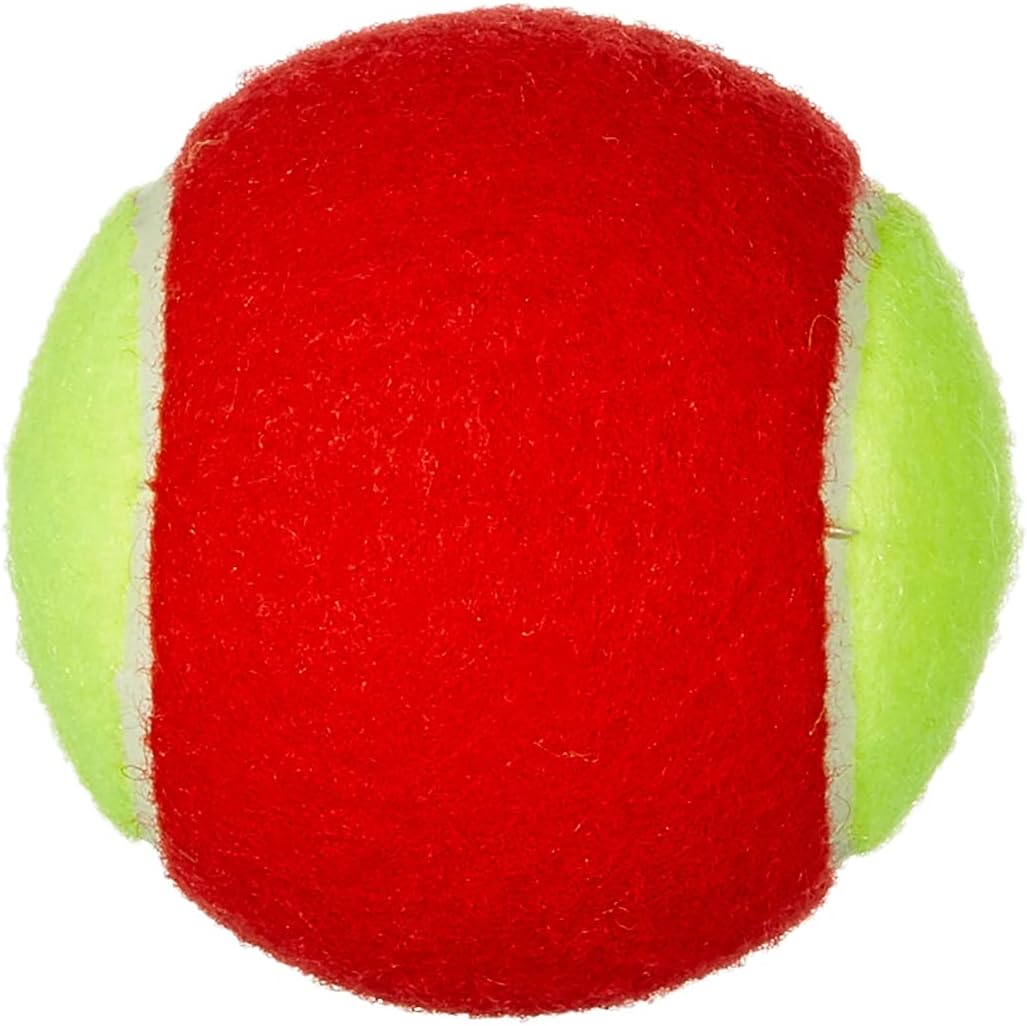 Wilson Starter Tennis Balls